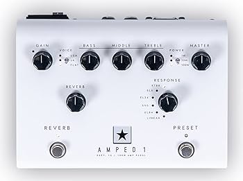 ラスト出品限定価格！かなりの美品！！BLACK STAR エフェクターセット！！ Blackstar 【エフェクタースーパープライスSALE】 Dept.10